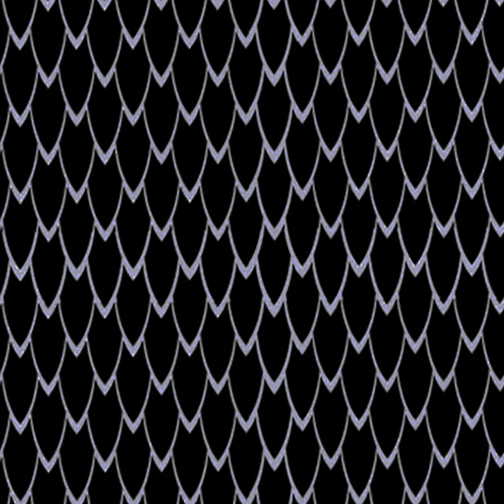 Black Snake